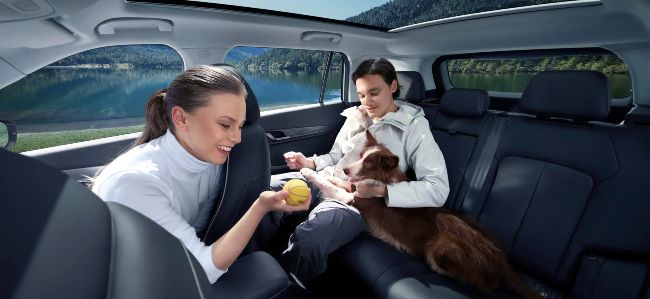 JAECOO E5 with Family & Pet