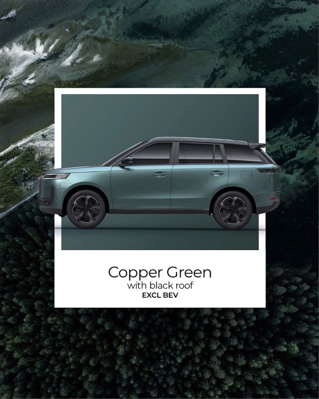 JAECOO E5 in Copper Green with Black Roof