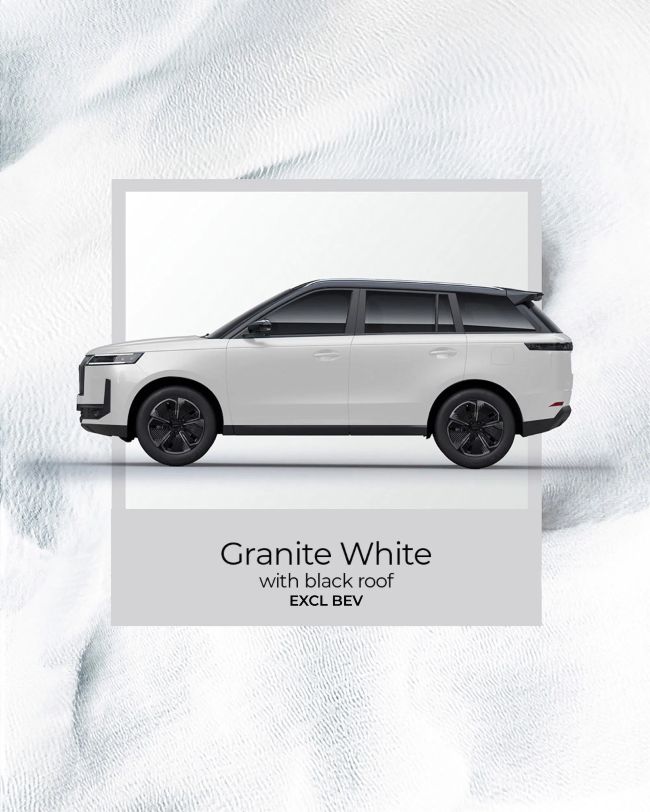 JAECOO E5 in Graphite White with Black Roof