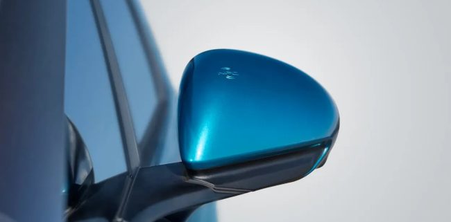 new BYD Dolphin wing mirror with logo