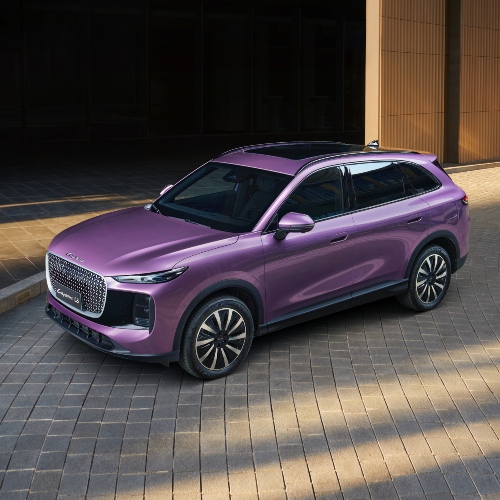 The LEPAS L8 front view in Mystic Purple; New LEPAS L8 safety