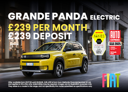 Grande Panda Electric