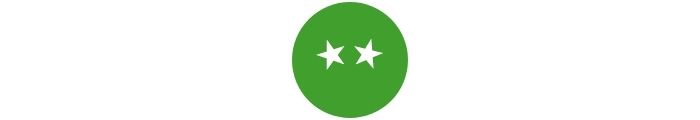 Bronze icon Bronze icon