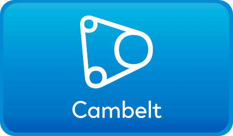 Dacia Cambelt