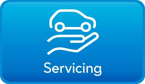 Dacia Servicing