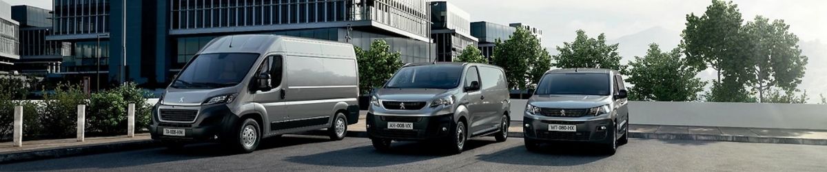 Peugeot Van Service