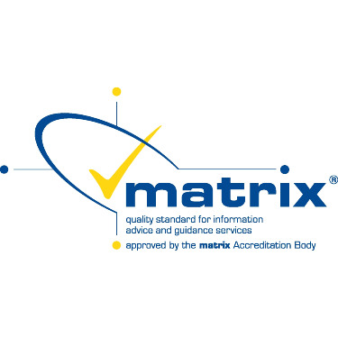 Matrix Logo