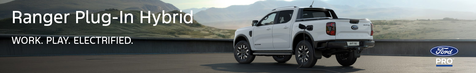 Ford Banner