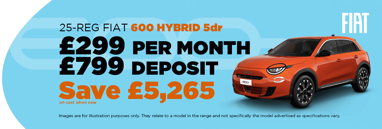 Fiat 600 campaign banner