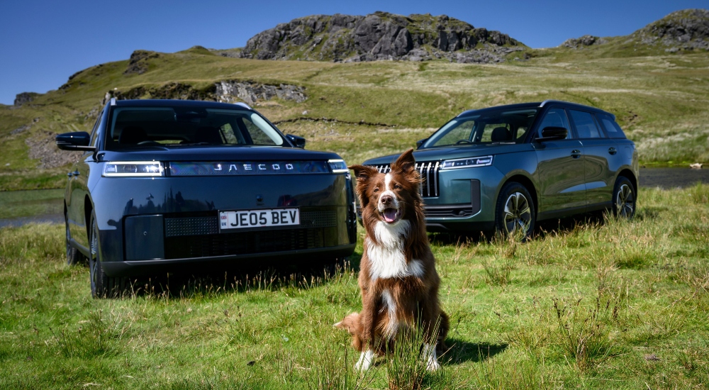 New JAECOO Models | Designed to be pet friendly