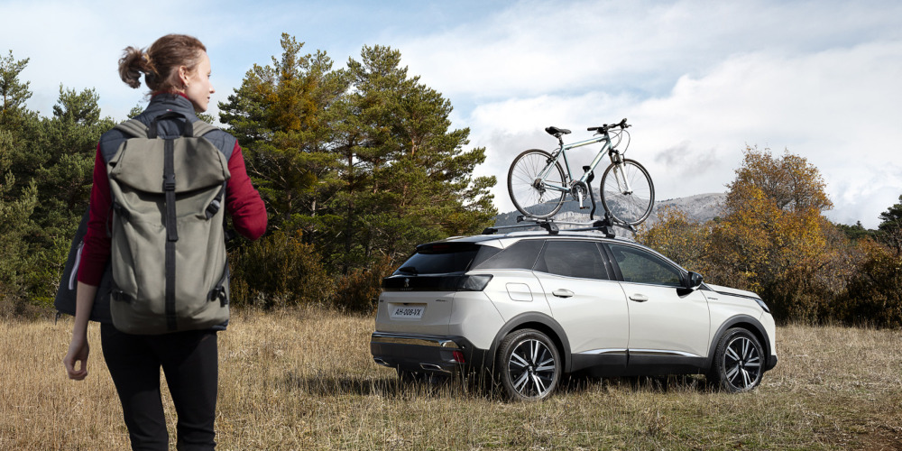 Peugeot accessories image