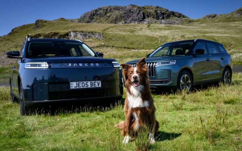 A dog sat in front of two JAECOO models; JAECOO models on the Motability Scheme