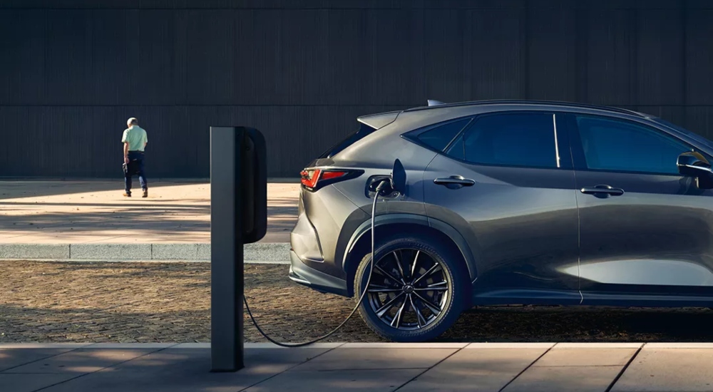 New Lexus NX Plug-in Hybrid Highlights New Lexus NX Plug-in Hybrid Highlights