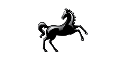Blackhorse