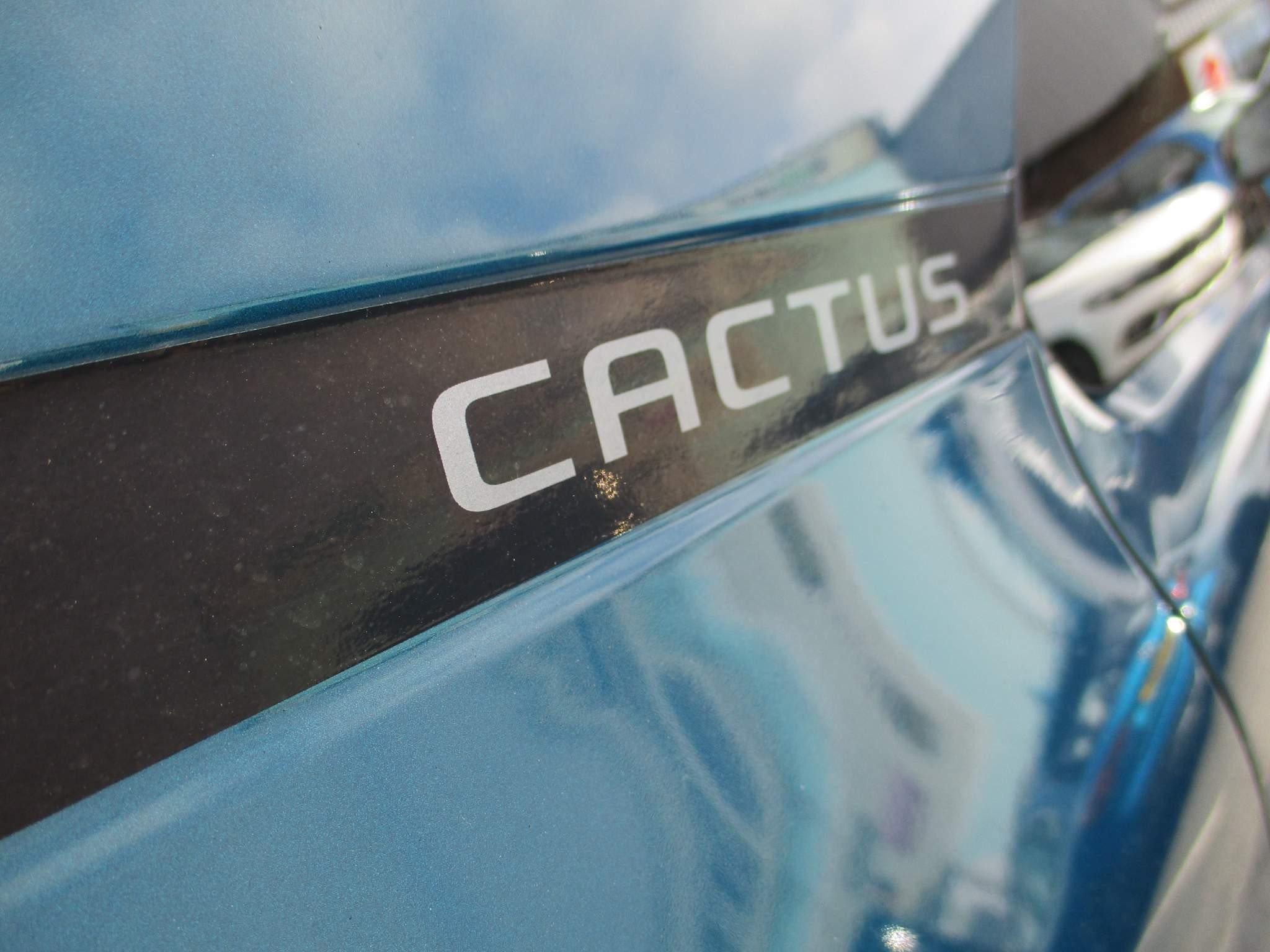 Citroen C4 Cactus 1.2 PureTech Flair Hatchback 5dr Petrol EAT6 Euro 6 (s/s) (130 ps) (NX20XLF) image 18