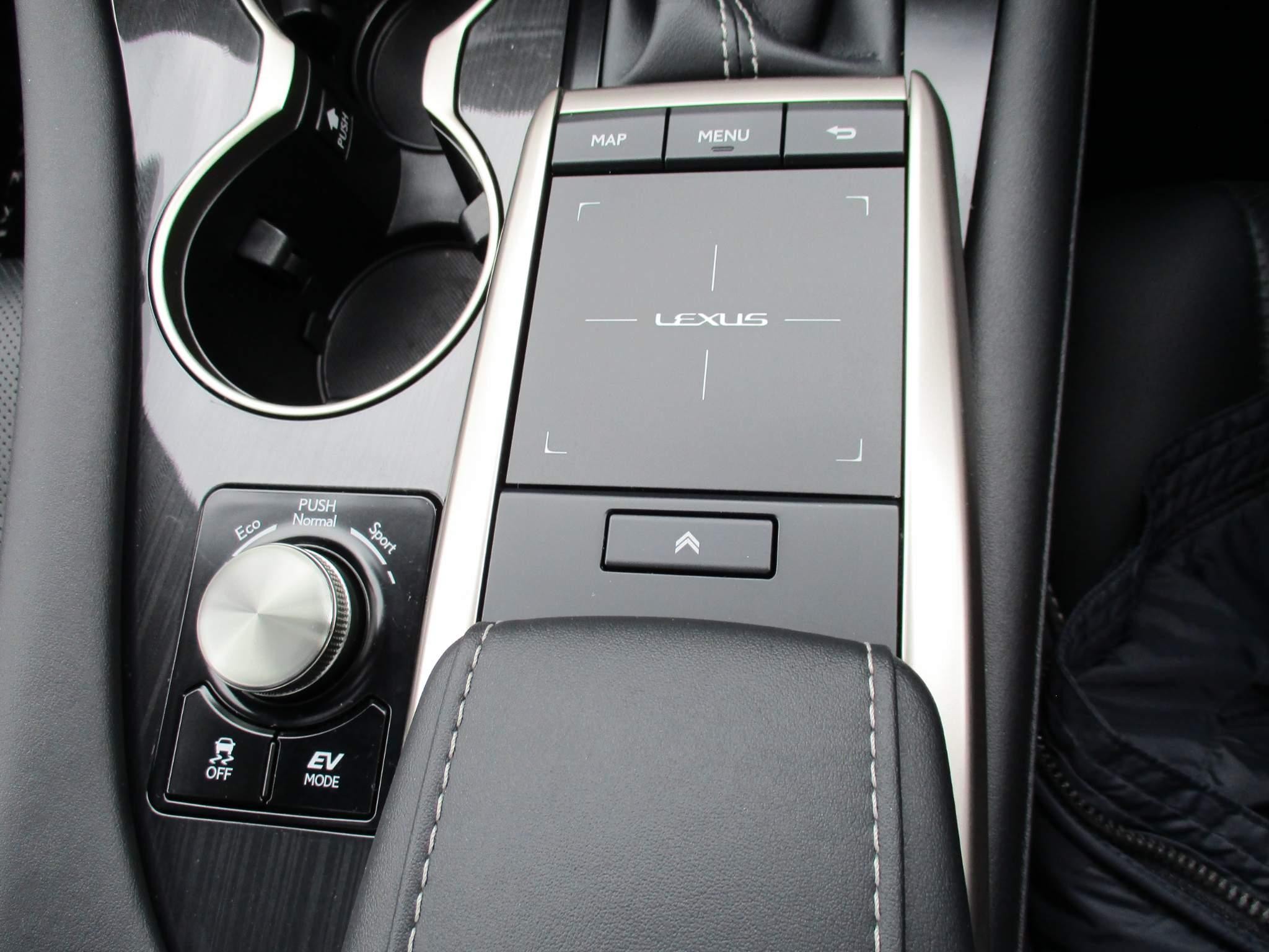 Lexus RX 450h 3.5 450h V6 (Premium) E-CVT 4WD Euro 6 (s/s) 5dr (NU21KRX) image 29