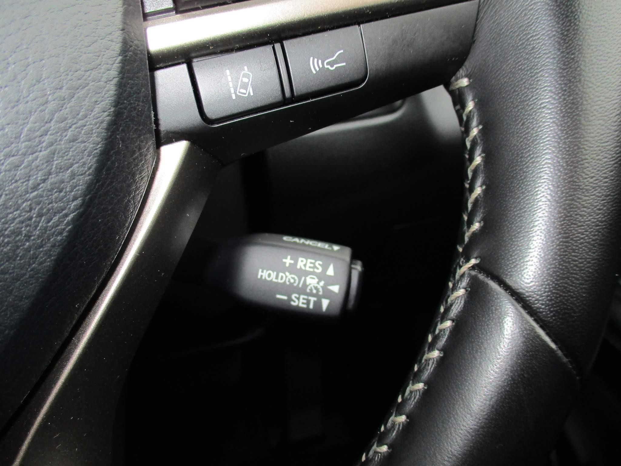 Lexus RX 450h 3.5 450h V6 (Premium) E-CVT 4WD Euro 6 (s/s) 5dr (NU21KRX) image 32
