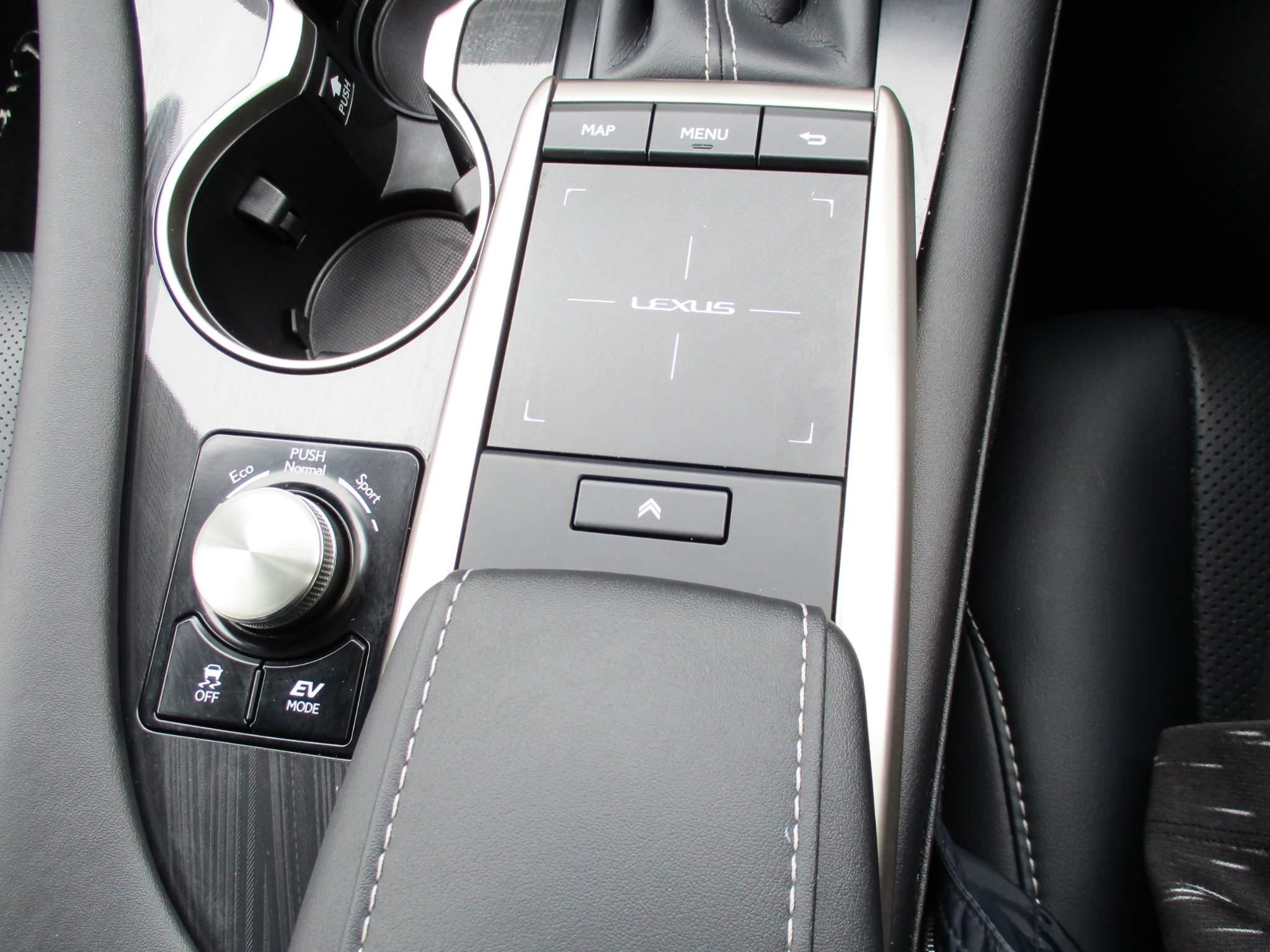 Lexus RX 450h 3.5 450h V6 (Premium) E-CVT 4WD Euro 6 (s/s) 5dr (NU70YPL) image 29
