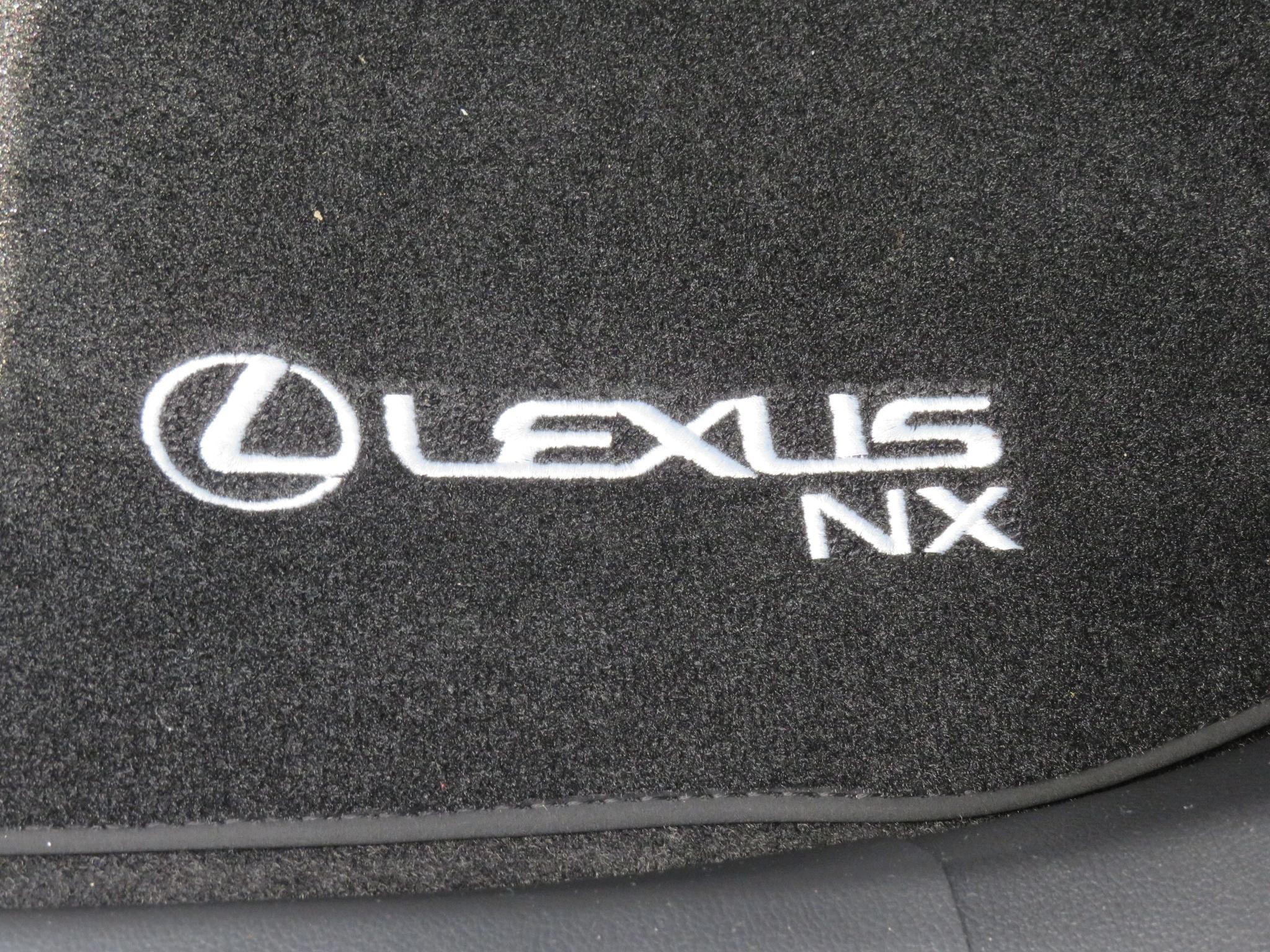 Lexus NX Image 19