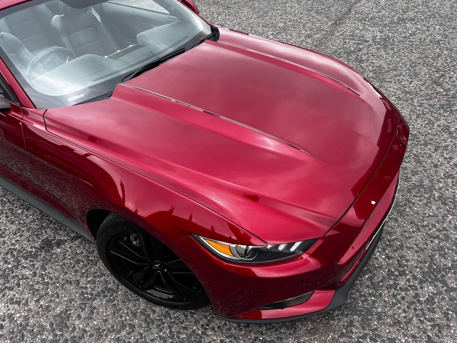 Ford Mustang Convertible Image 14