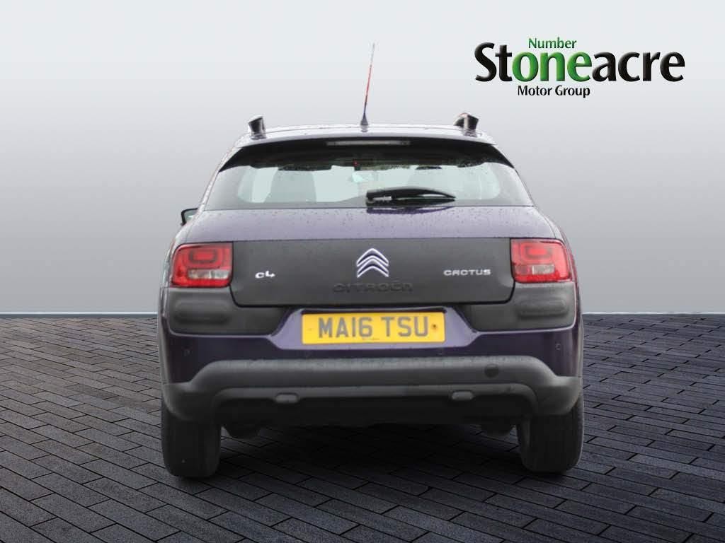 Citroen C4 Cactus Image 4