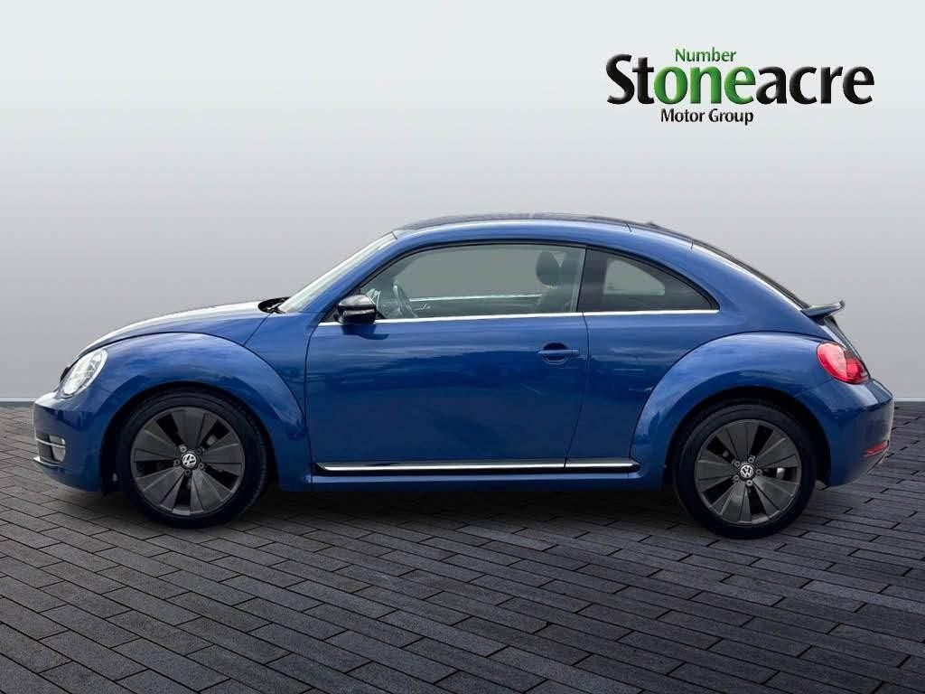 Volkswagen Beetle Image 6