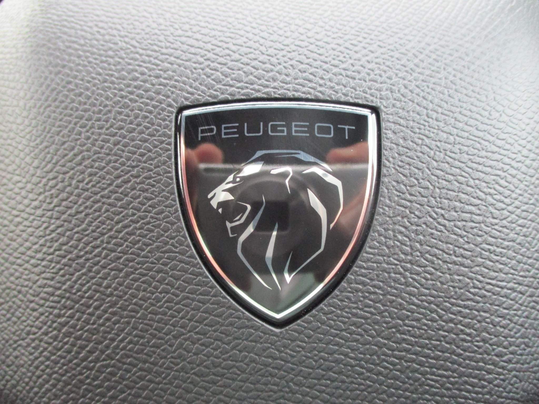 Peugeot 308 Image 13