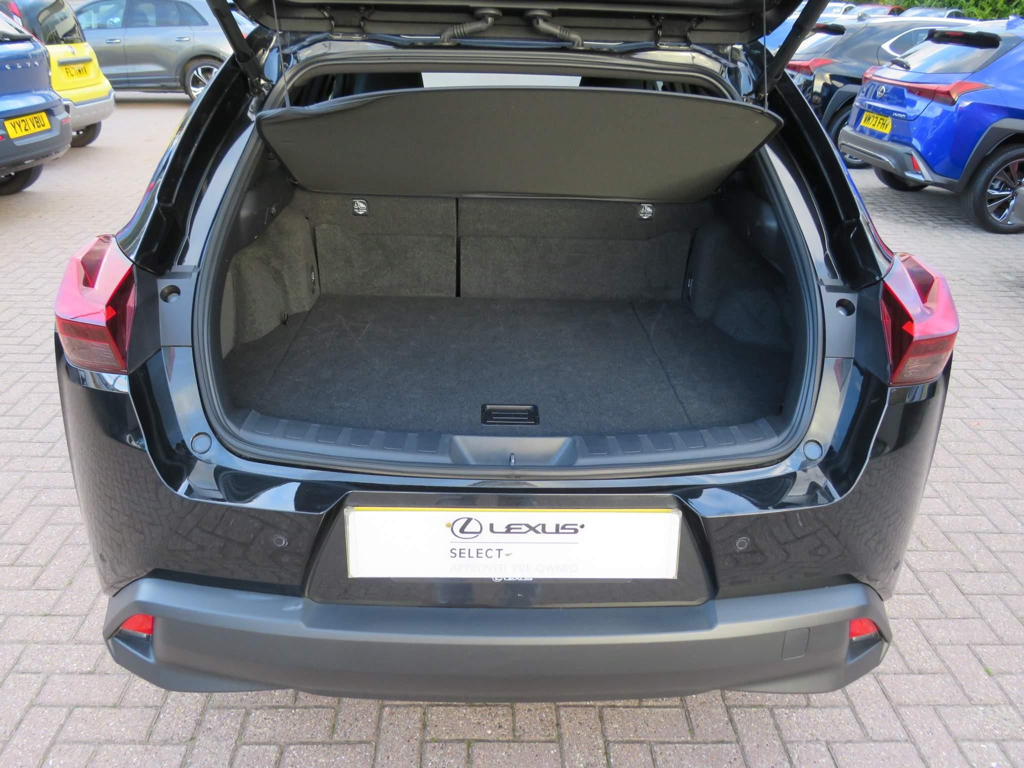 Lexus UX 250h Image 12