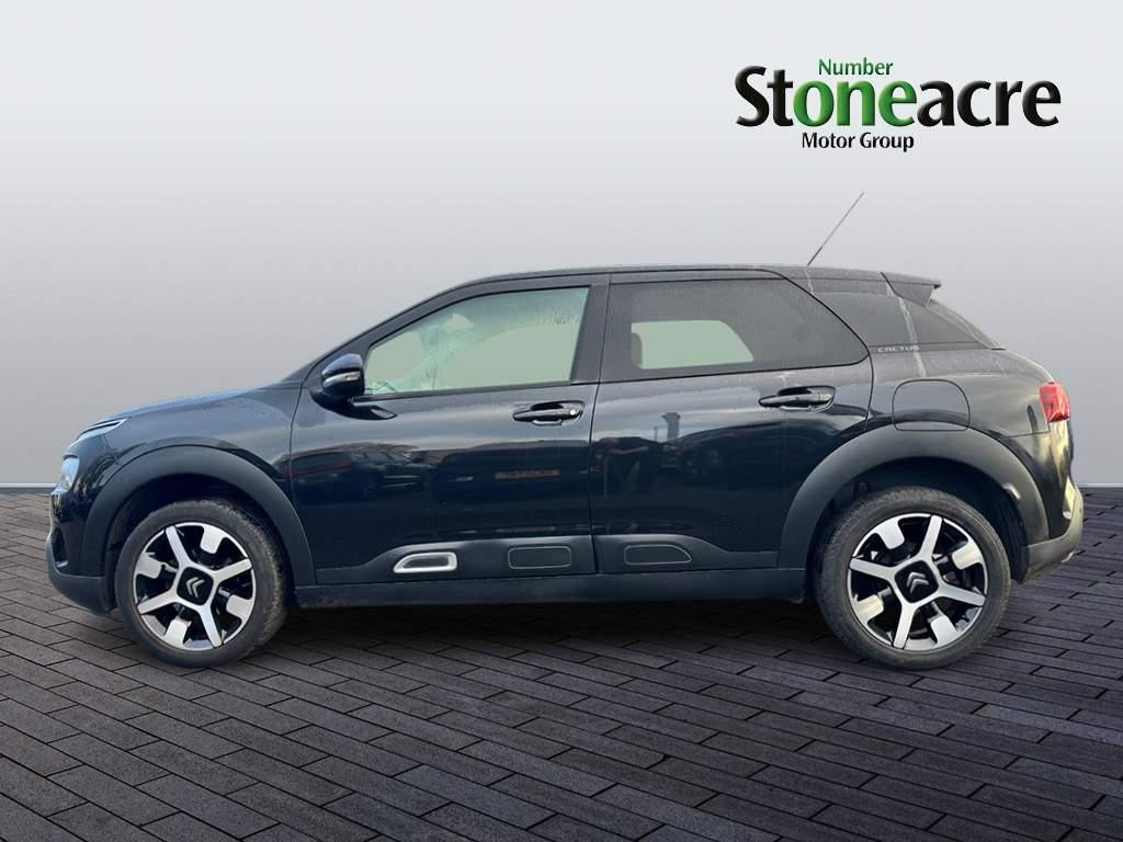 Citroen C4 Cactus Image 6