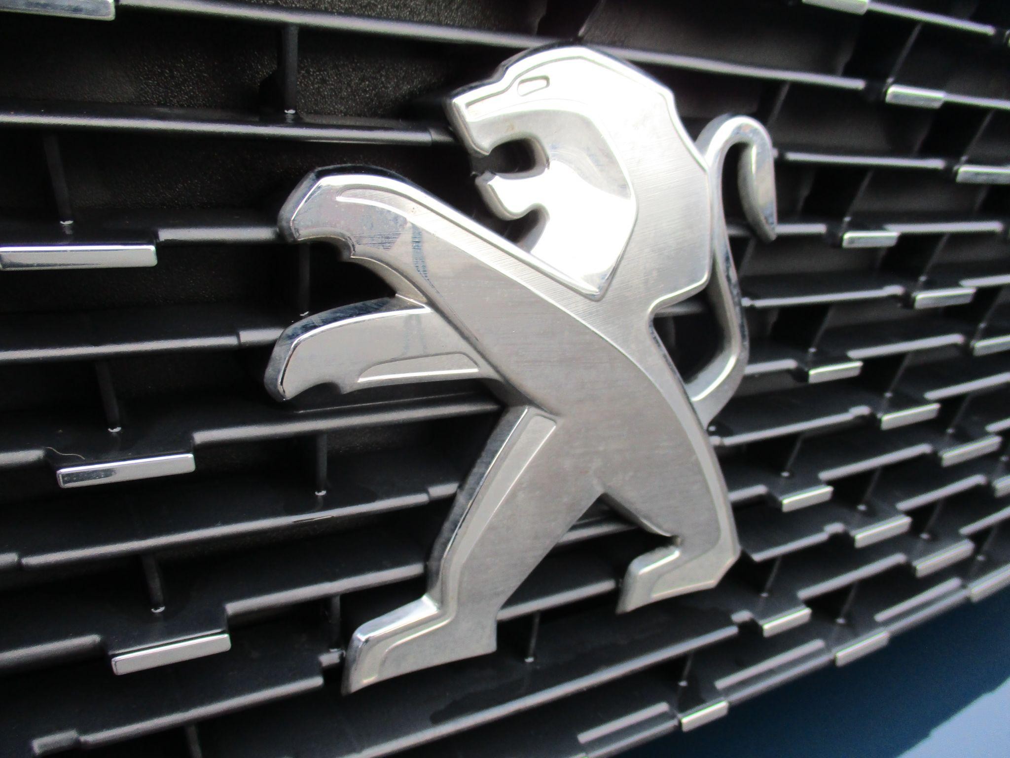 Peugeot 3008 Image 17