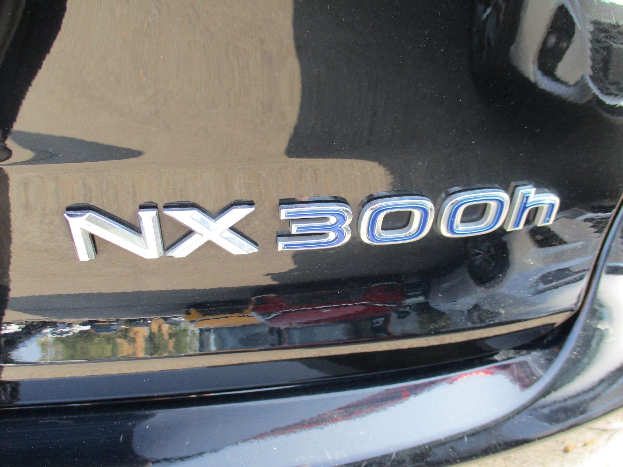 Lexus NX Self-Charging Hybrid Image 20