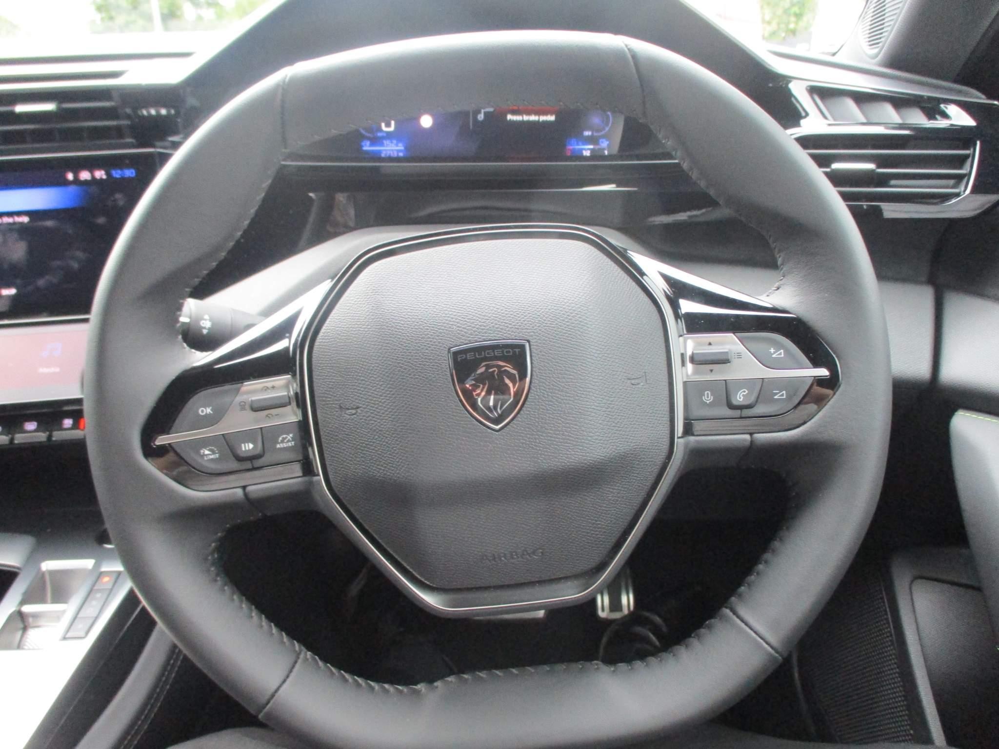 Peugeot E-308 Image 17