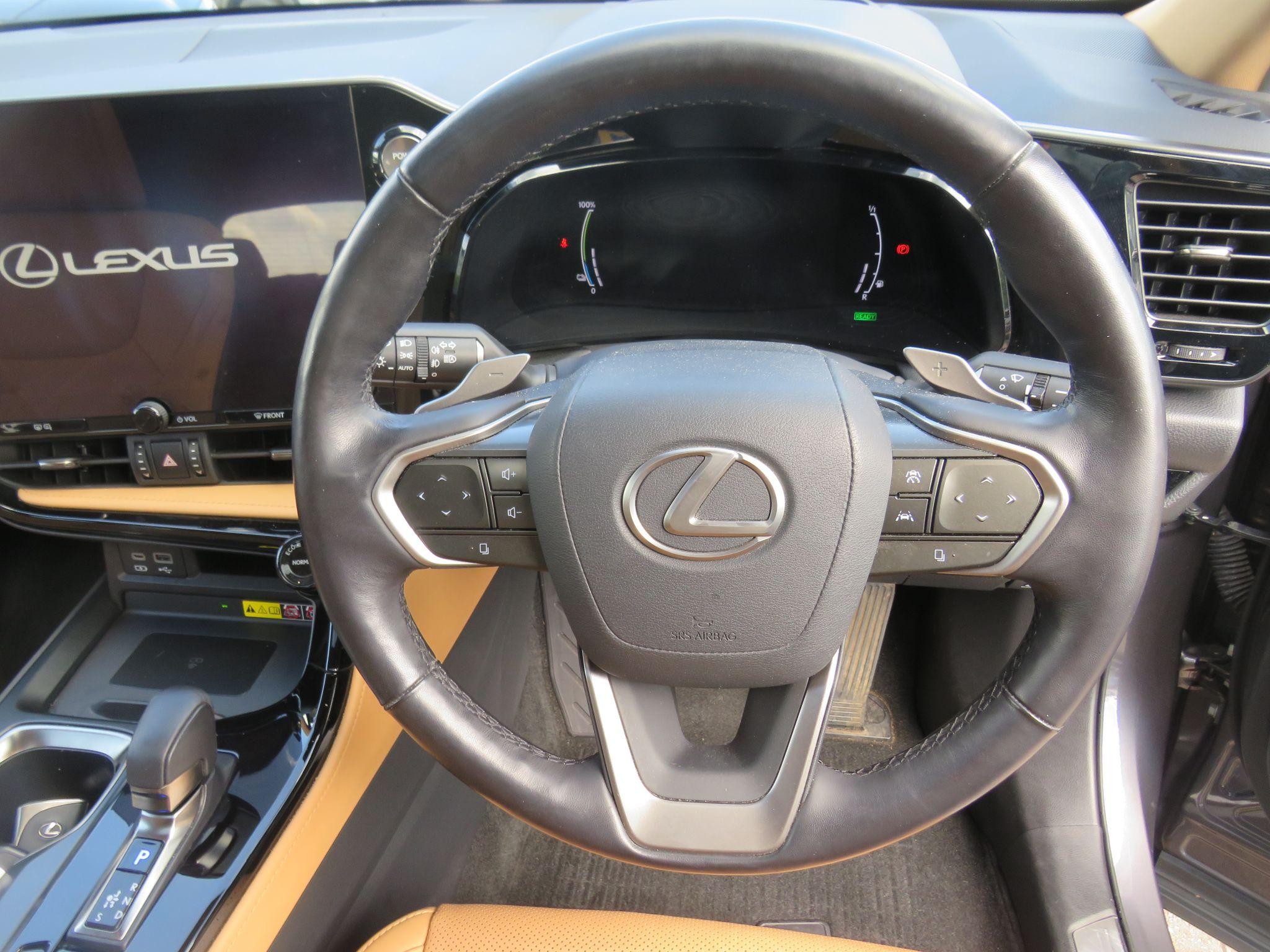 Lexus NX Image 14
