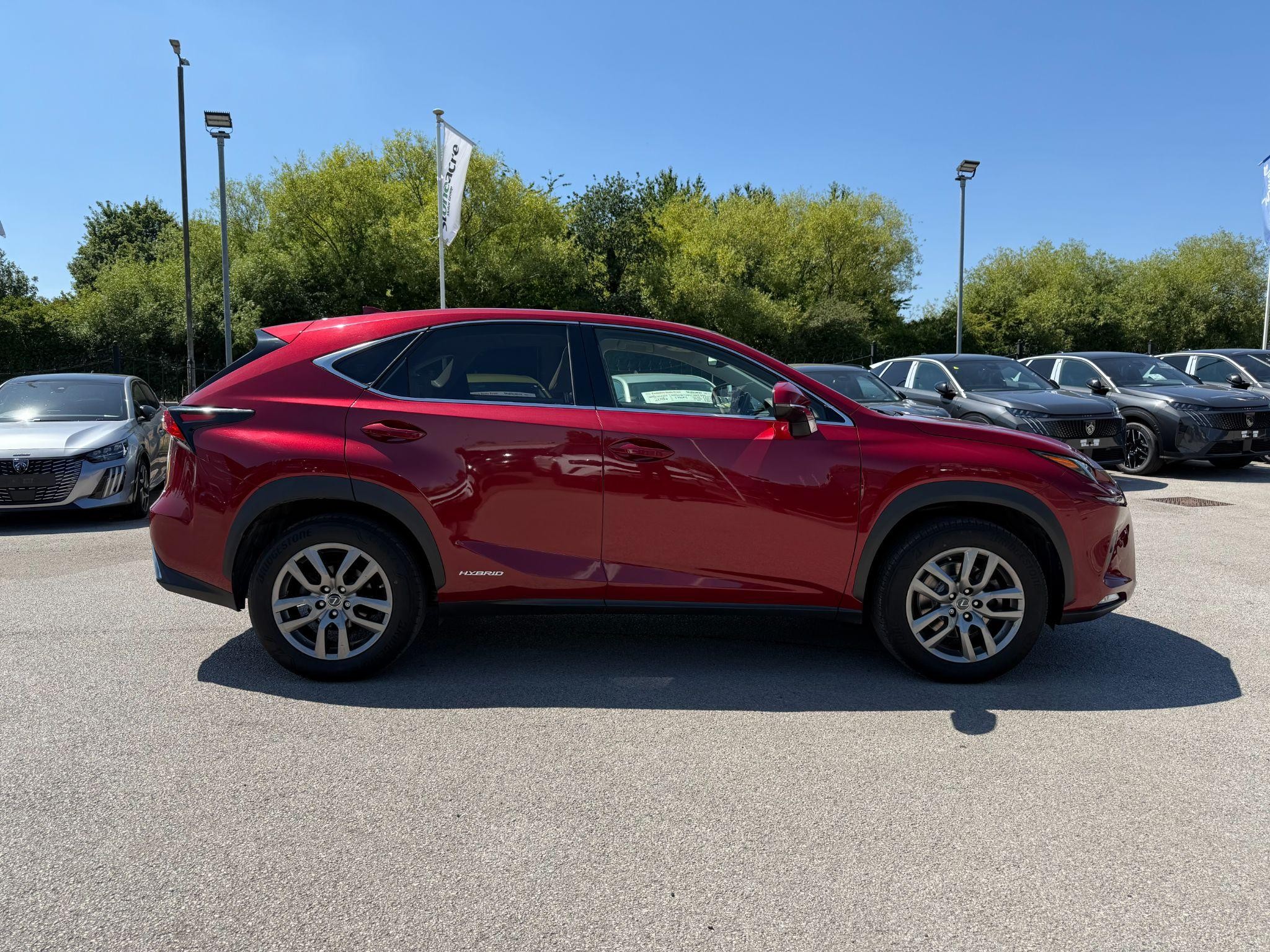 Lexus NX Self-Charging Hybrid Image 7