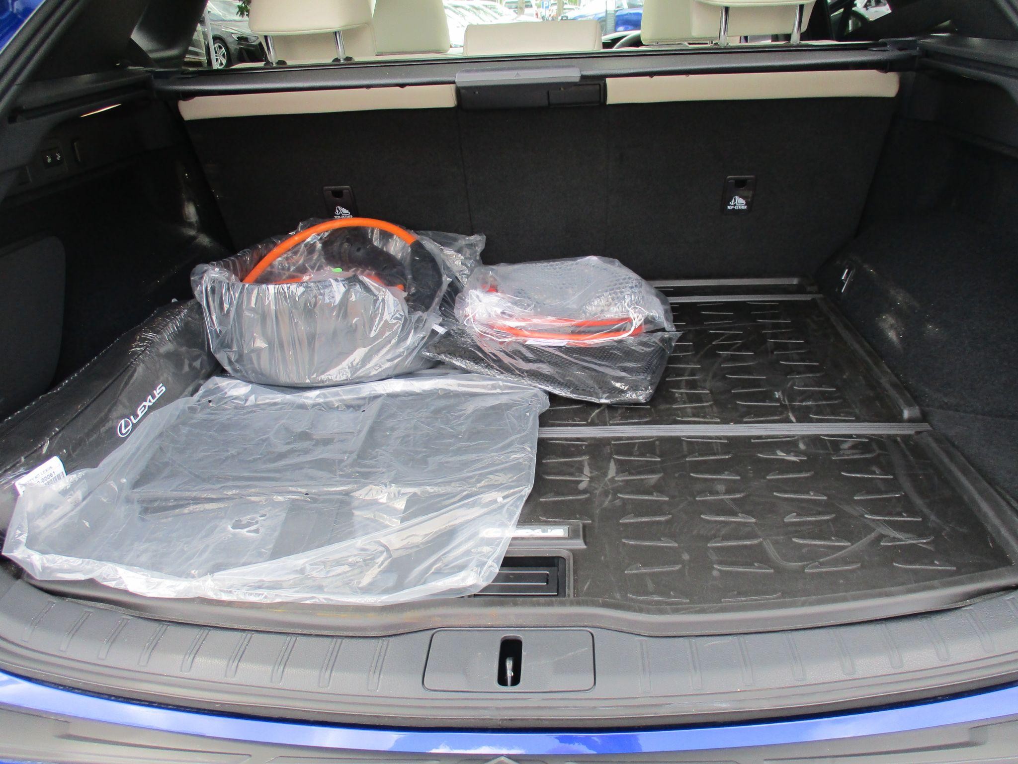 Lexus RX Image 17