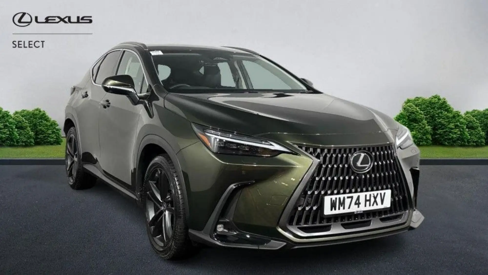 Lexus NX Plug-In Hybrid 2.5 450h+ 18.1kWh Premium Plus E-CVT 4WD Euro 6 (s/s) 5dr WM74HXV Image 1