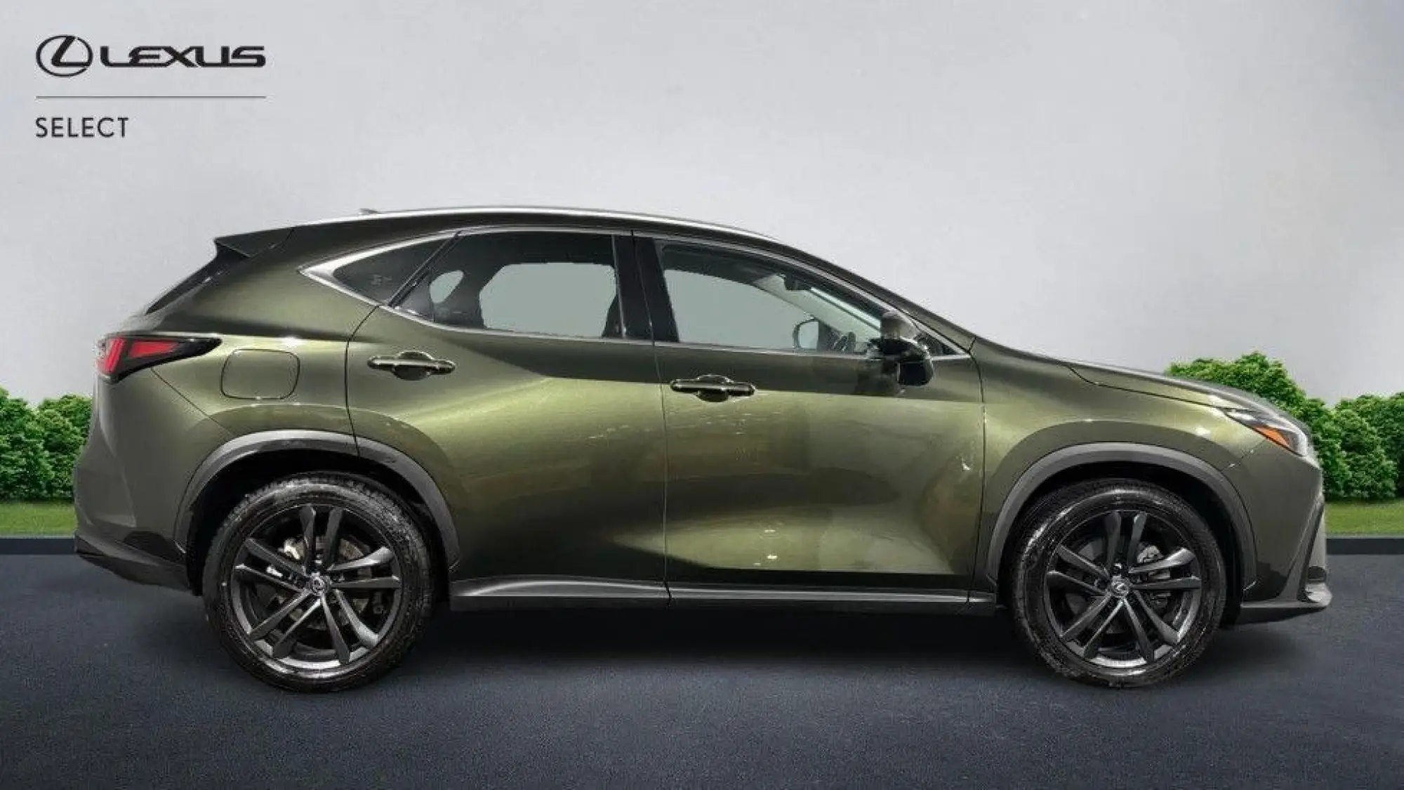 Lexus NX Plug-In Hybrid 2.5 450h+ 18.1kWh Premium Plus E-CVT 4WD Euro 6 (s/s) 5dr WM74HXV Image 2