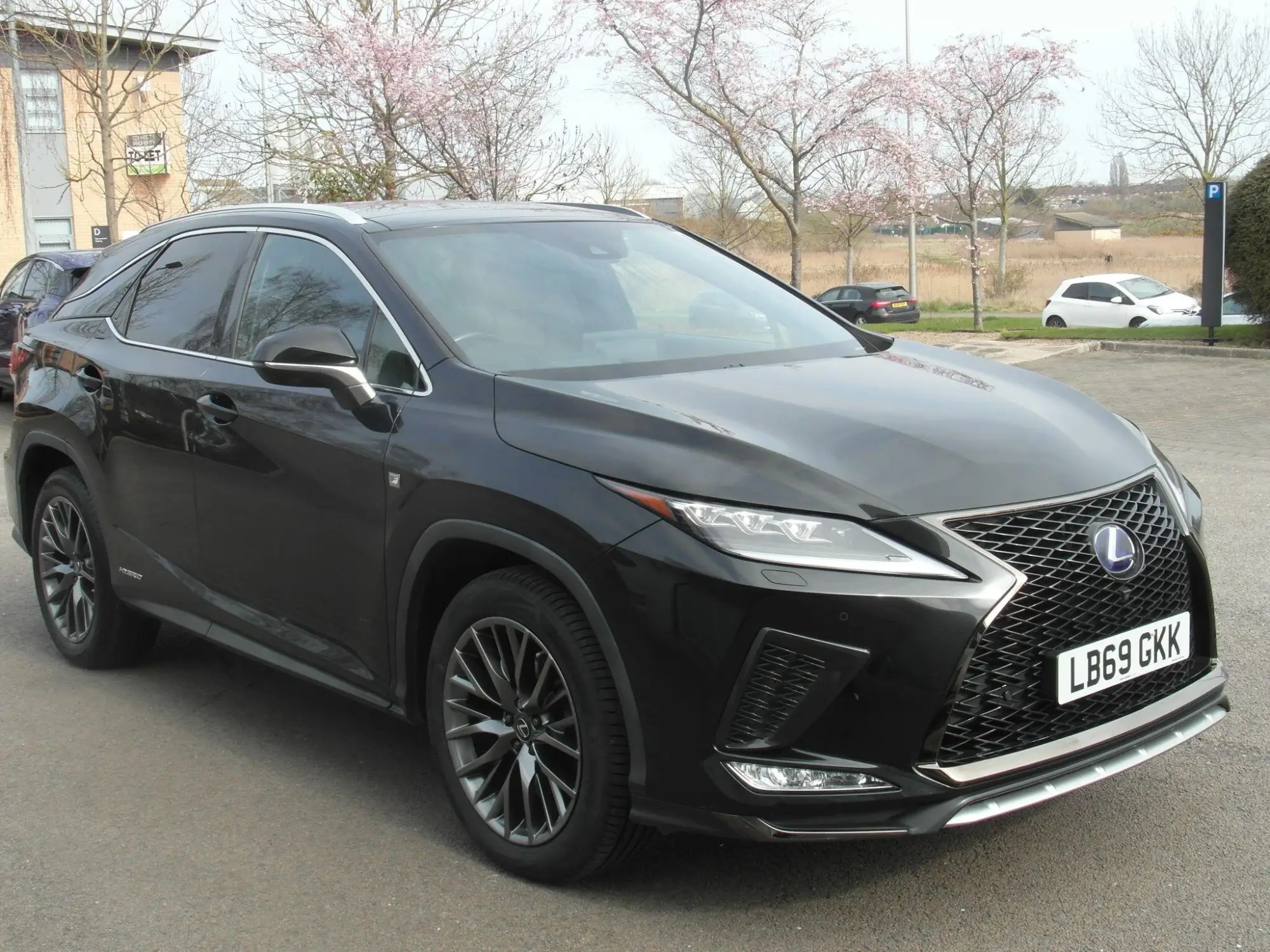 Lexus RX 450h 3.5 F-Sport 5dr Auto Self Charging Hybrid LB69GKK Image 1