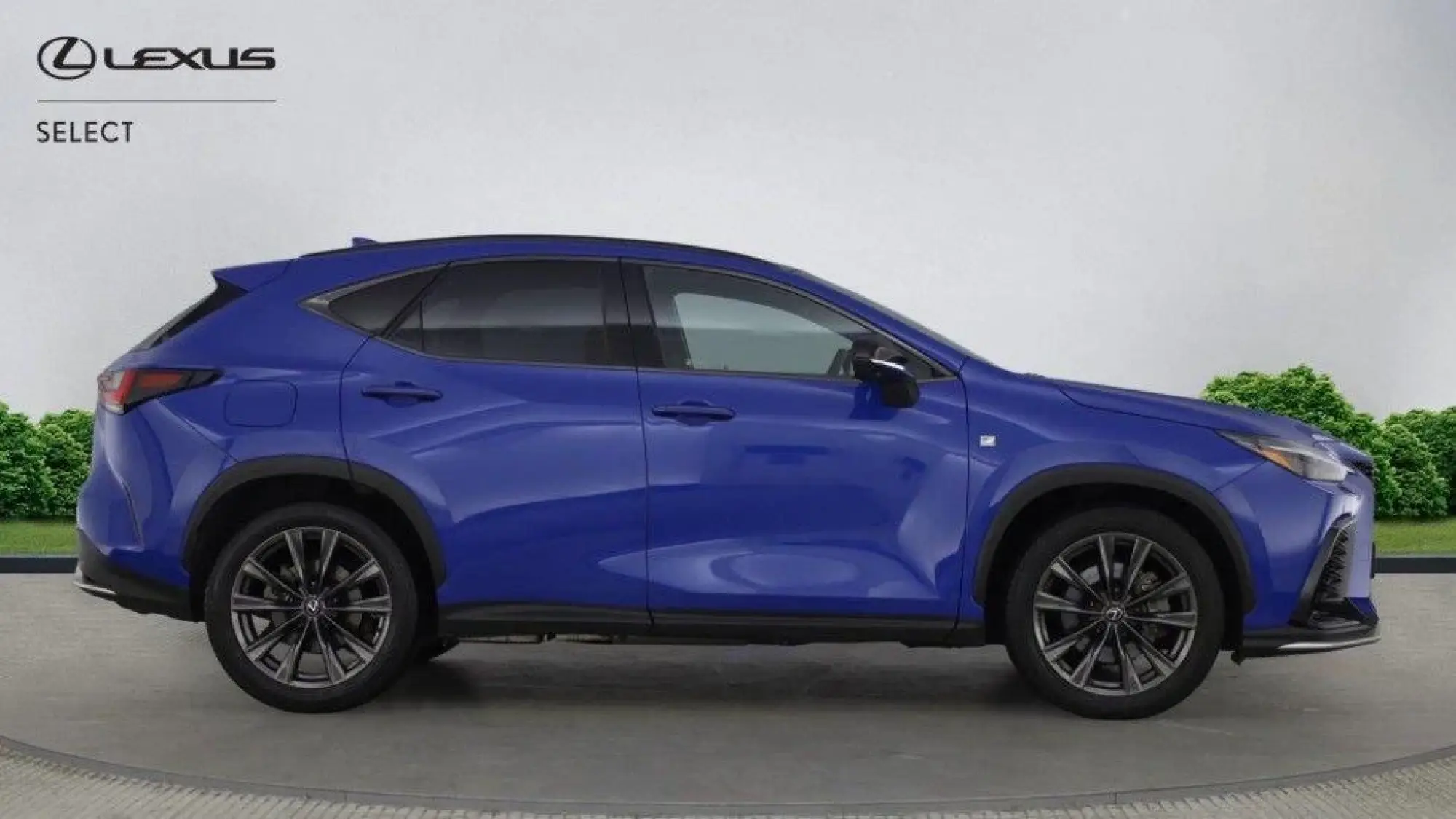 Lexus NX Plug-In Hybrid Image 2