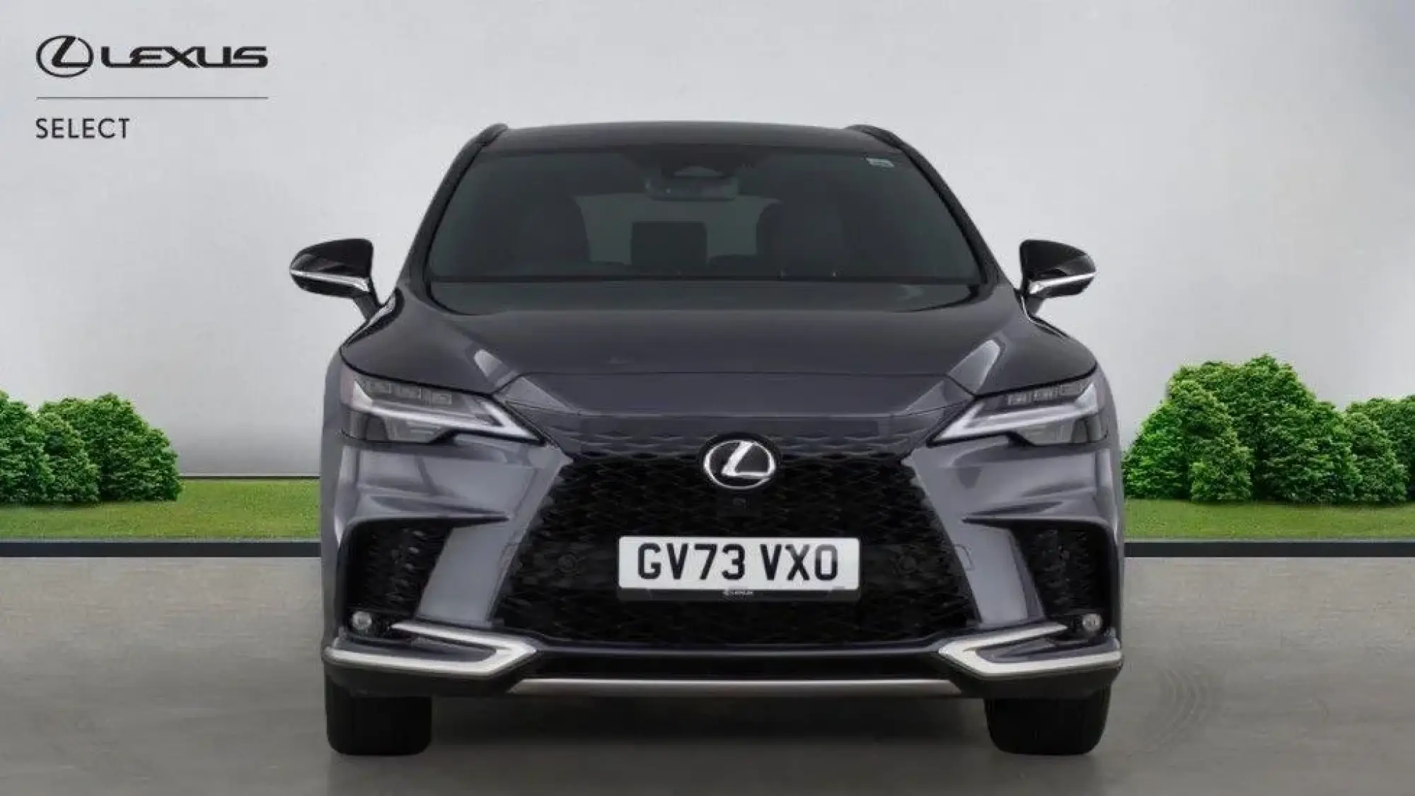 Lexus RX Plug-In Hybrid Image 8 Lexus RX Plug-In Hybrid Image 8