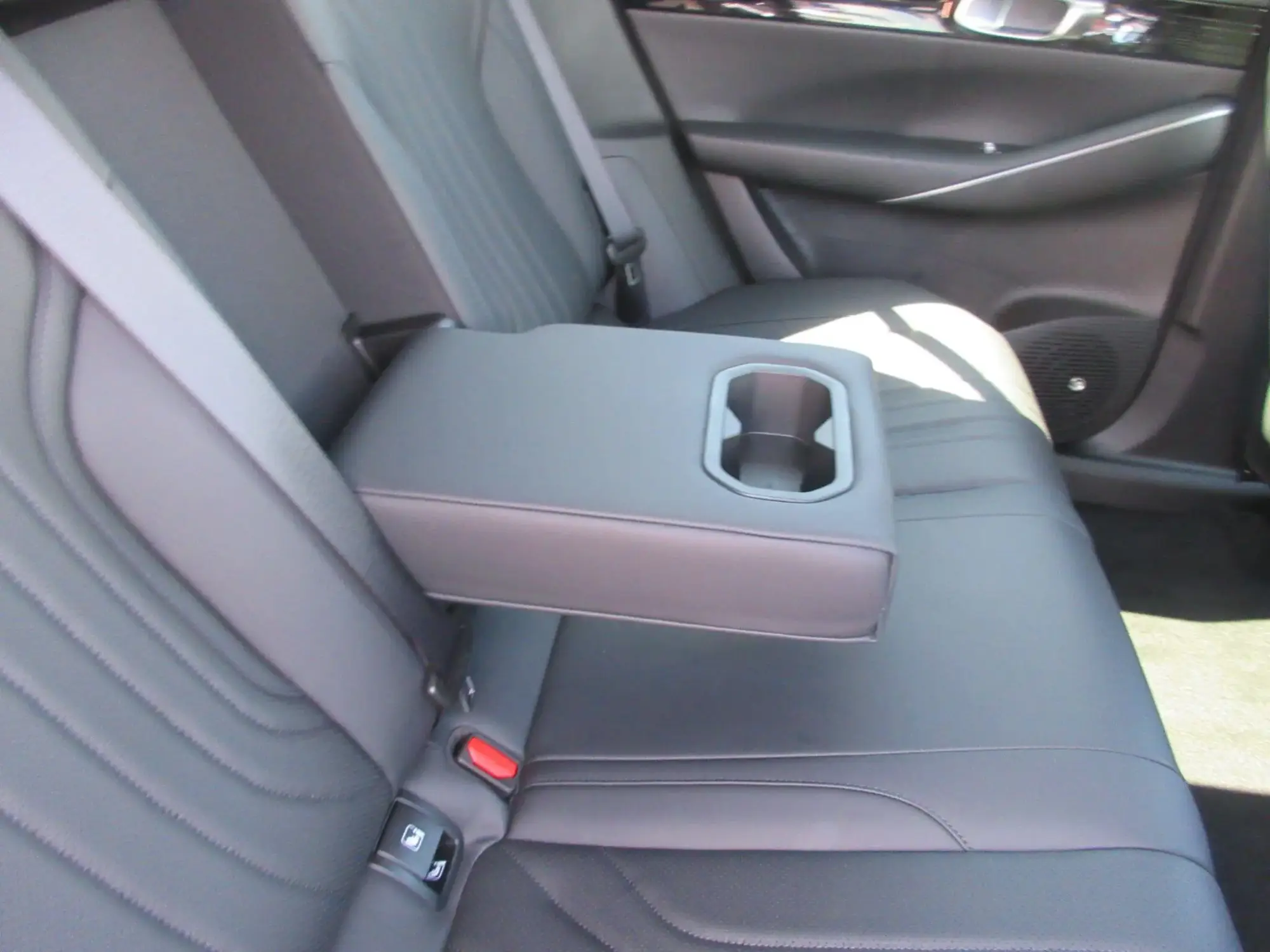 Geely Starray EM-i Image 12 Geely Starray EM-i Image 12