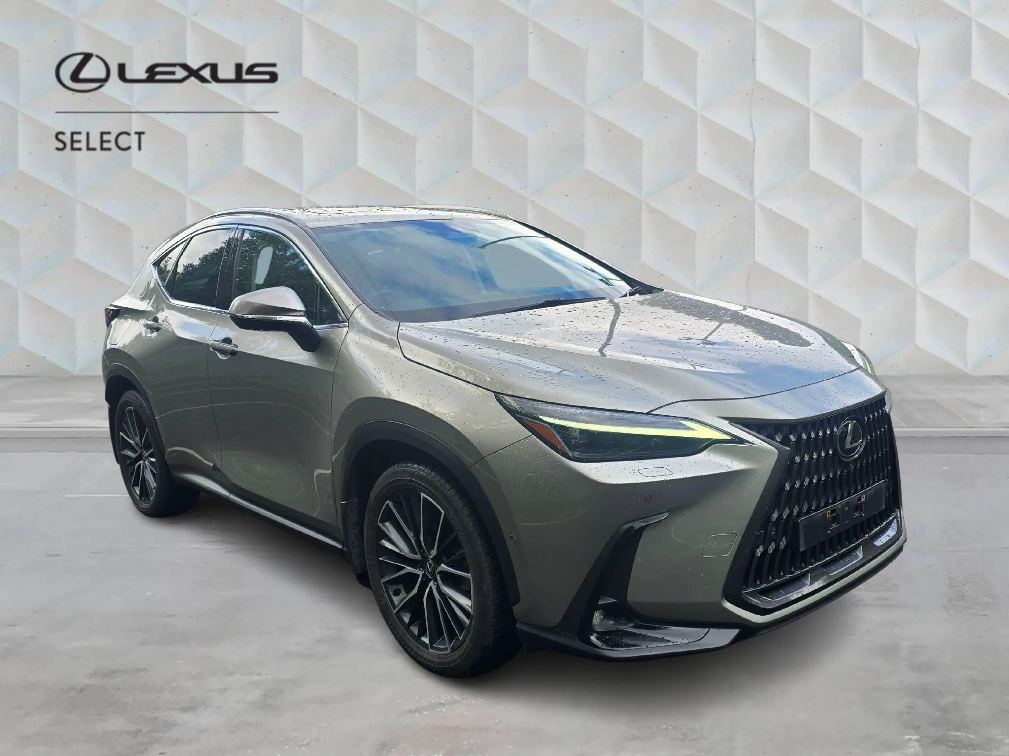 Lexus NX Self-Charging Hybrid listing photo
