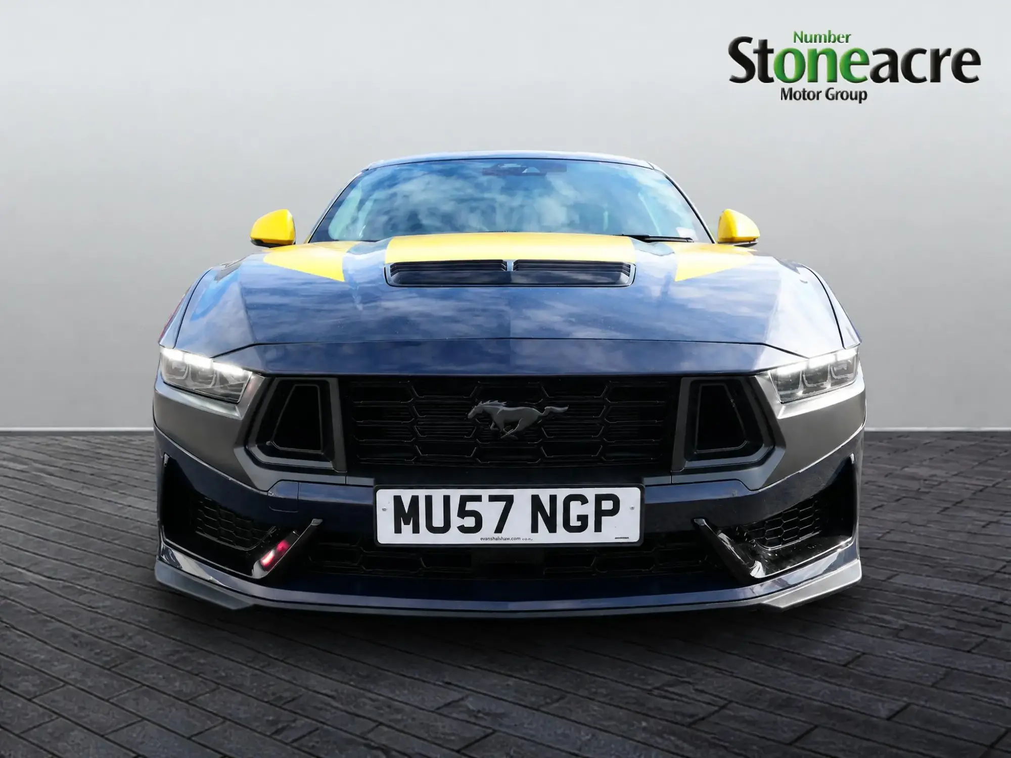Ford Mustang Image 6 Ford Mustang Image 6