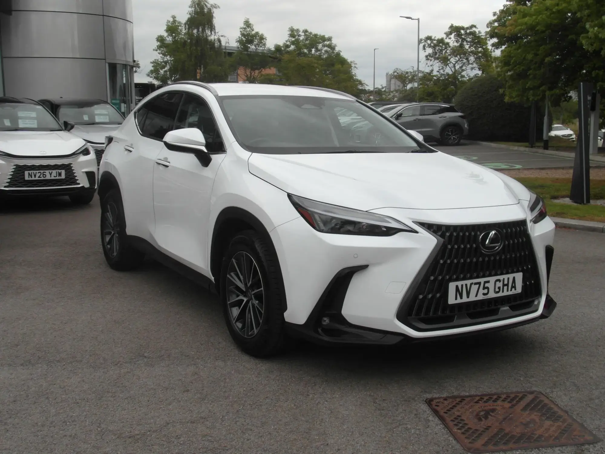 Lexus NX Plug-In Hybrid Image 9 Lexus NX Plug-In Hybrid Image 9