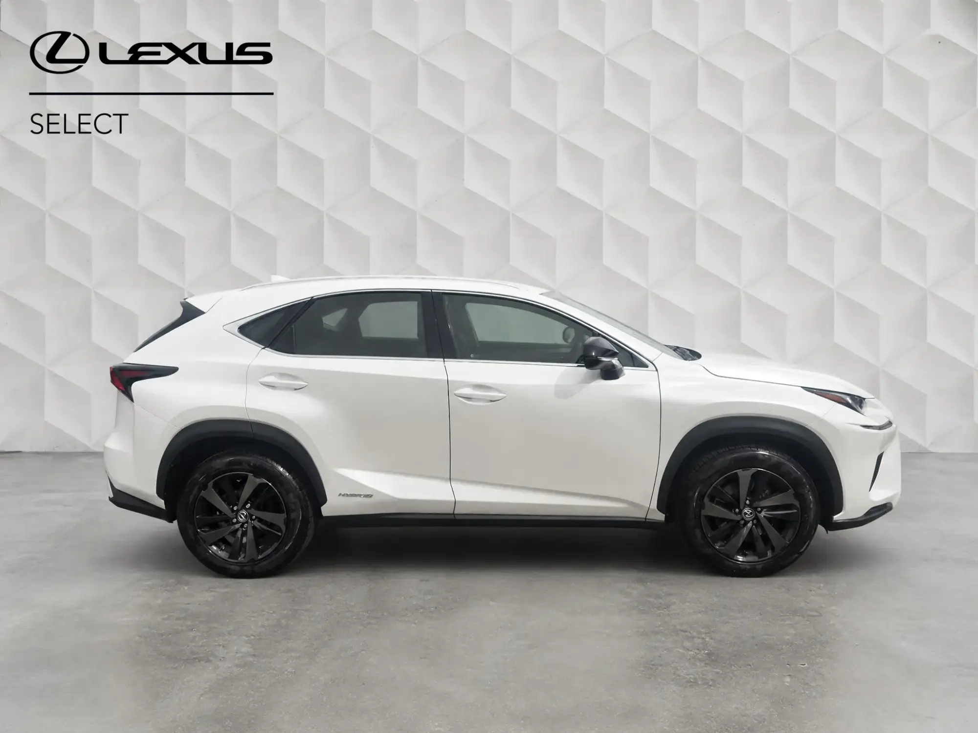 Lexus NX Self-Charging Hybrid Image 2 Lexus NX Self-Charging Hybrid Image 2