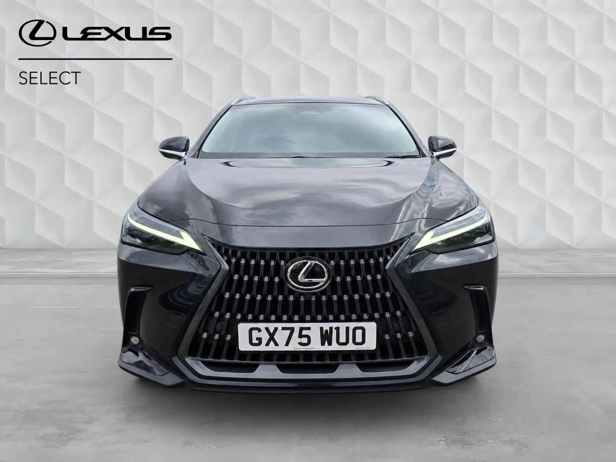 Lexus NX Image 8