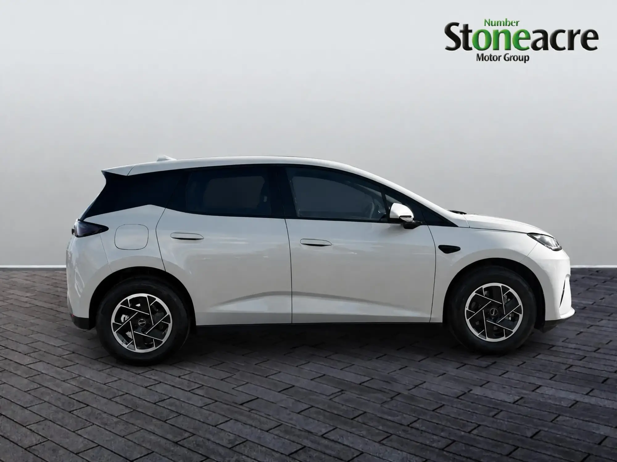 BYD Dolphin G Image 2