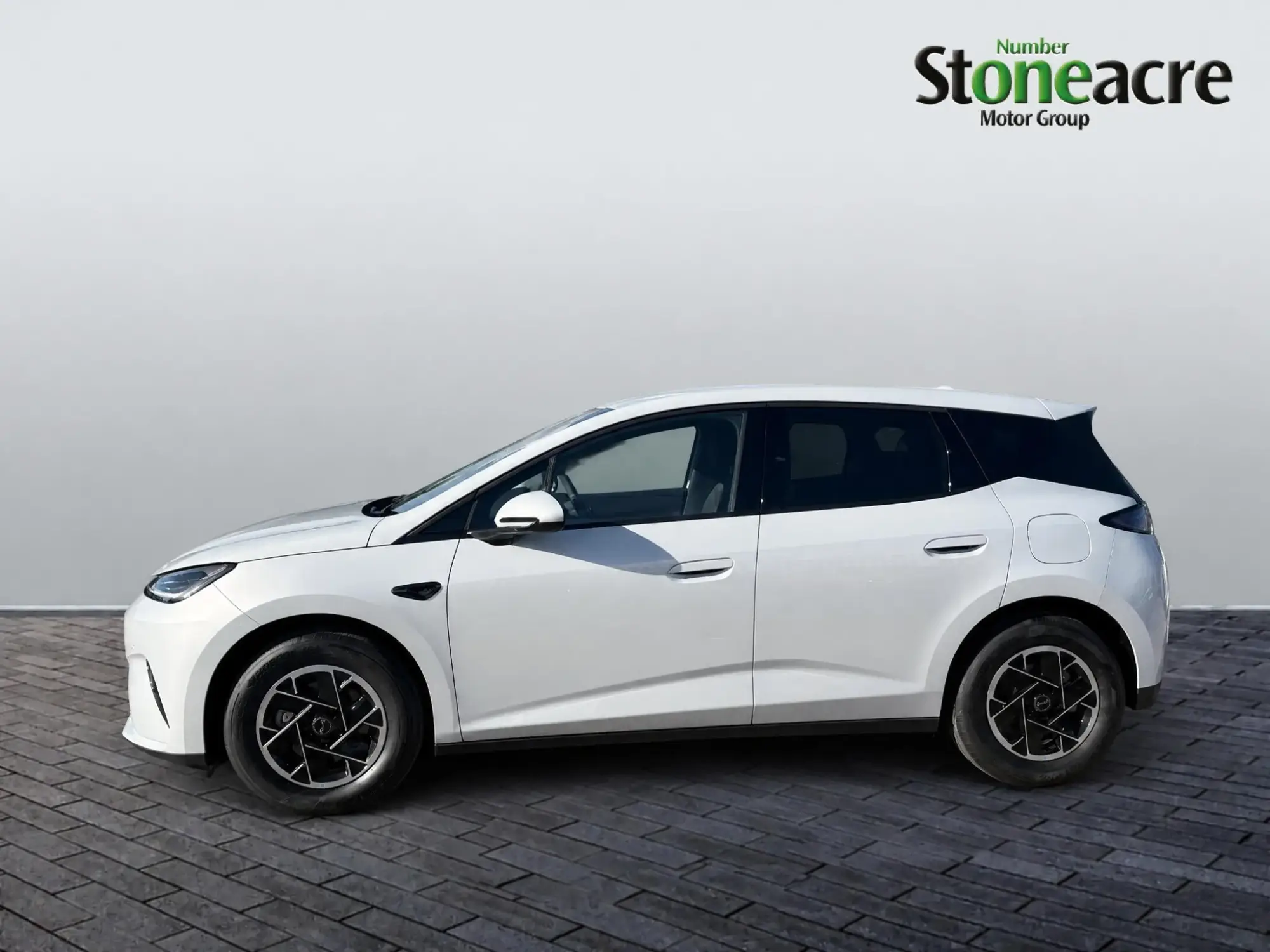BYD Dolphin G Image 6