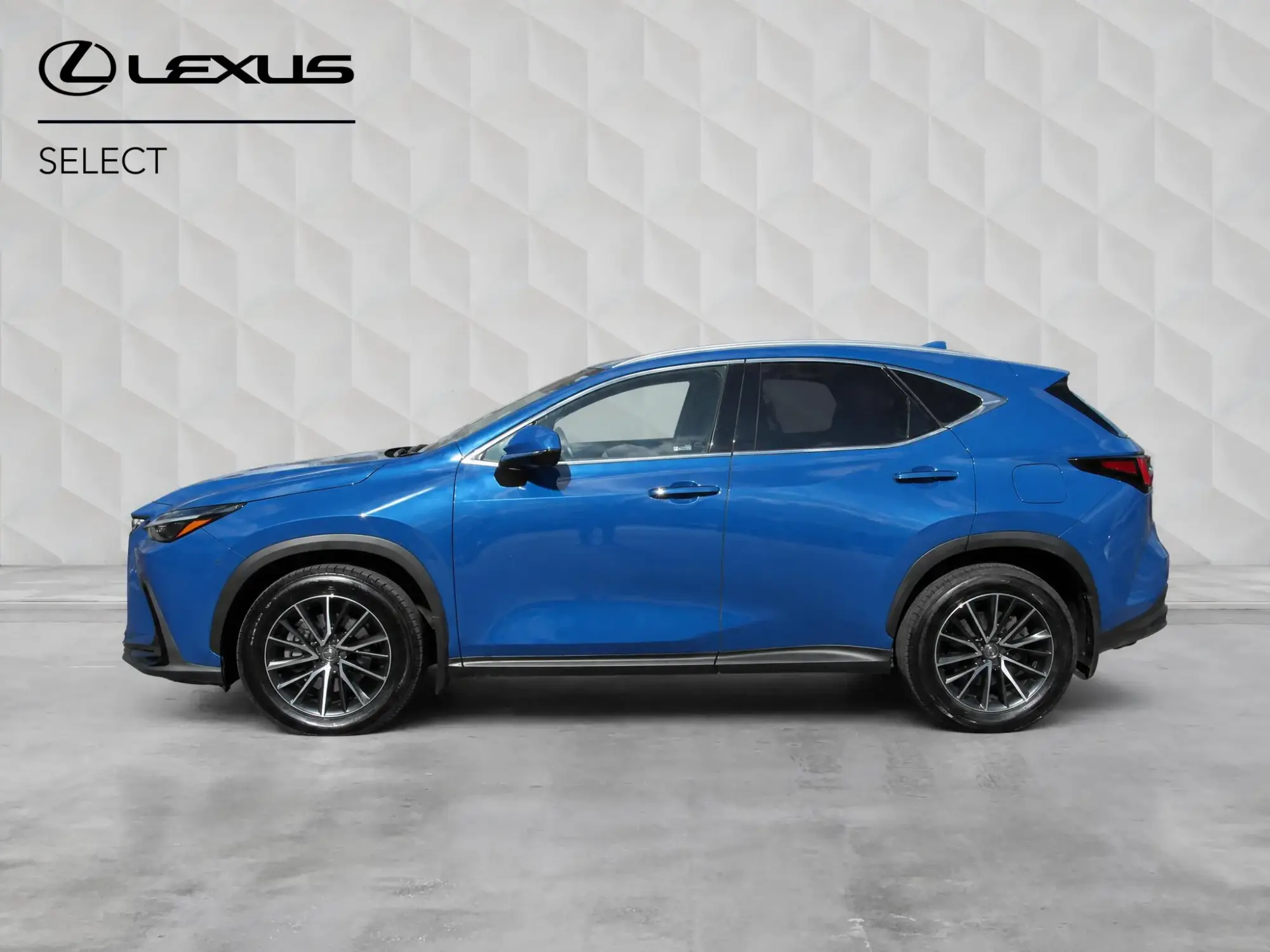 Lexus NX Self-Charging Hybrid Image 7