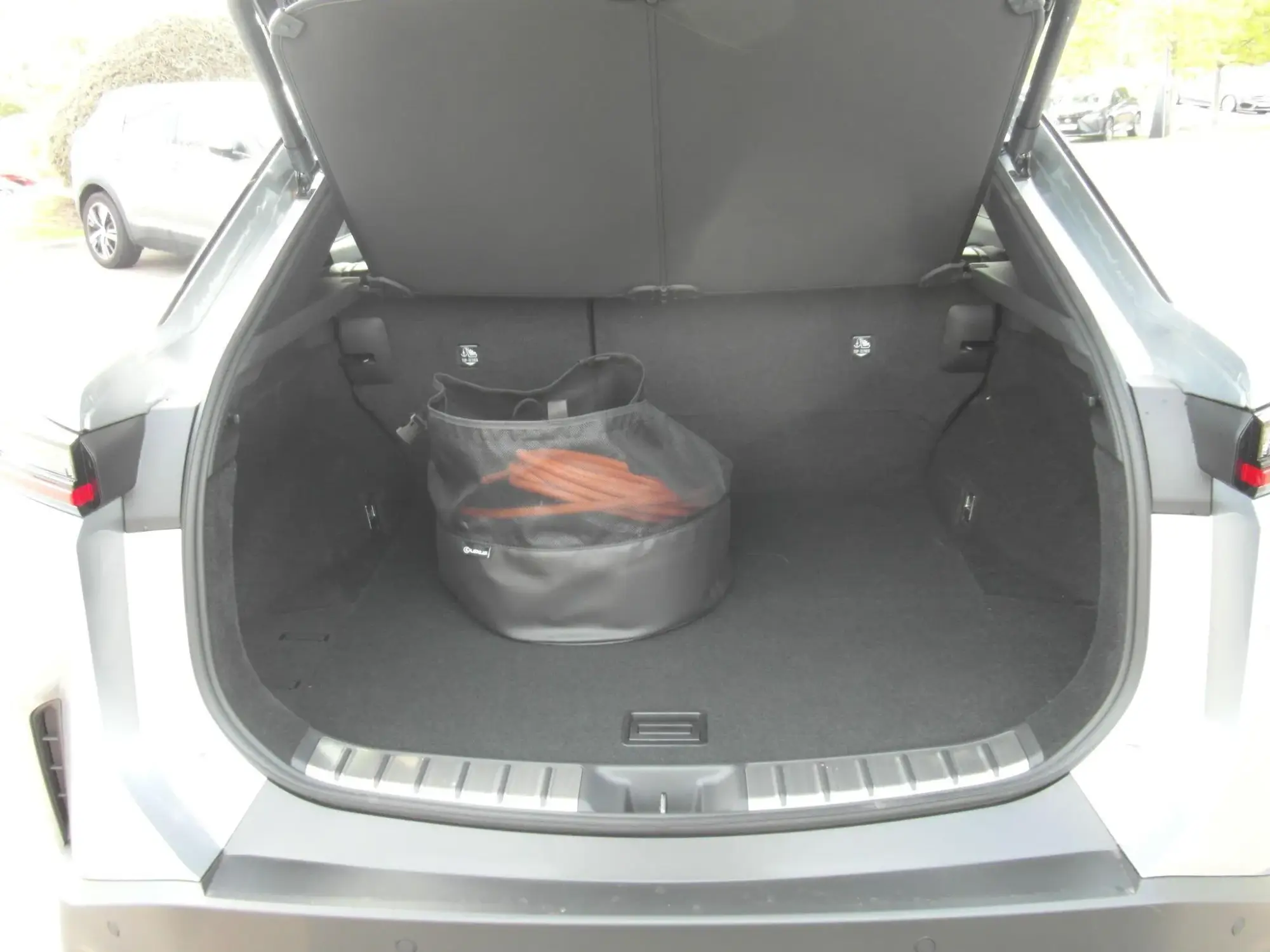 Lexus RZ Image 33